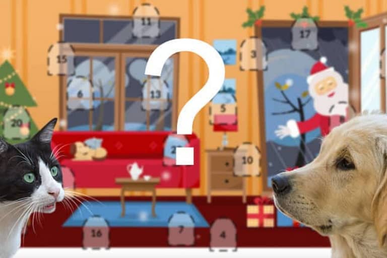 Good4Pets.de – Adventskalender 2023