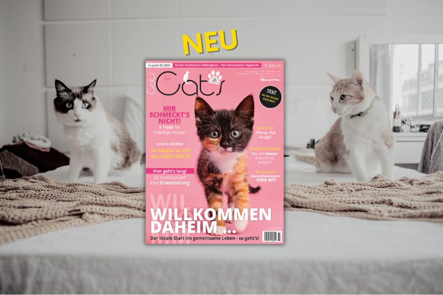 Our Cats 02.2024 - Minerva Verlag
