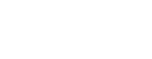 Minerva Verlag